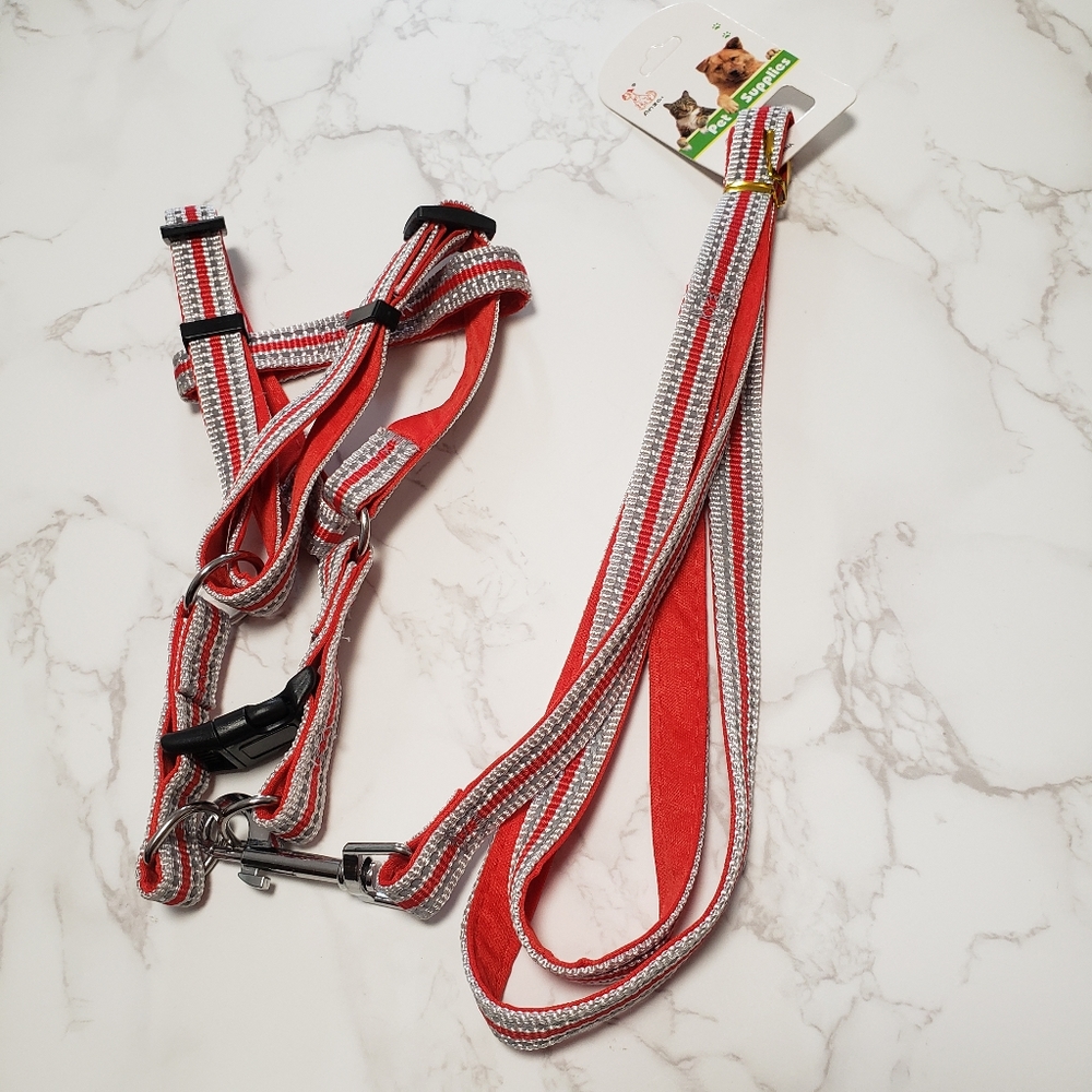 Dog harness and leash set.